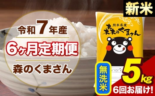 【6ヶ月定期便】令和7年産 新米 森のくまさん 無洗米 5kg 5kg×1袋 計6回お届け《1月から出荷開始》お米 こめ 熊本県産 ご飯 備蓄