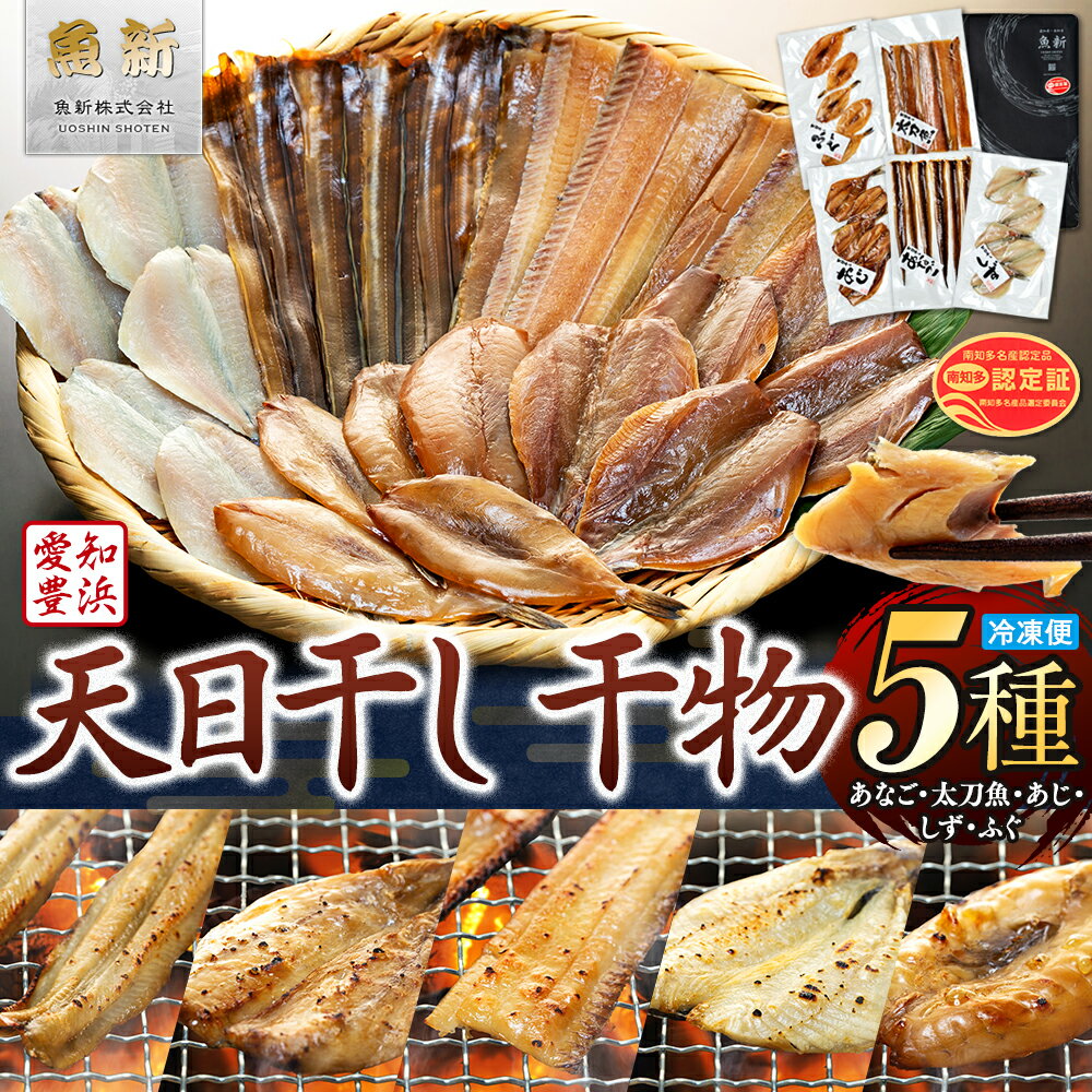 【ふるさと納税】 天日干し 干物 5種 味醂 汐 穴子 太刀魚 ふぐ あじ しず 詰め合わせ 冷凍 海鮮 ひもの セット 味醂干し 汐干し 塩 ミリン あなご 河豚 鯵 愛知 南知多