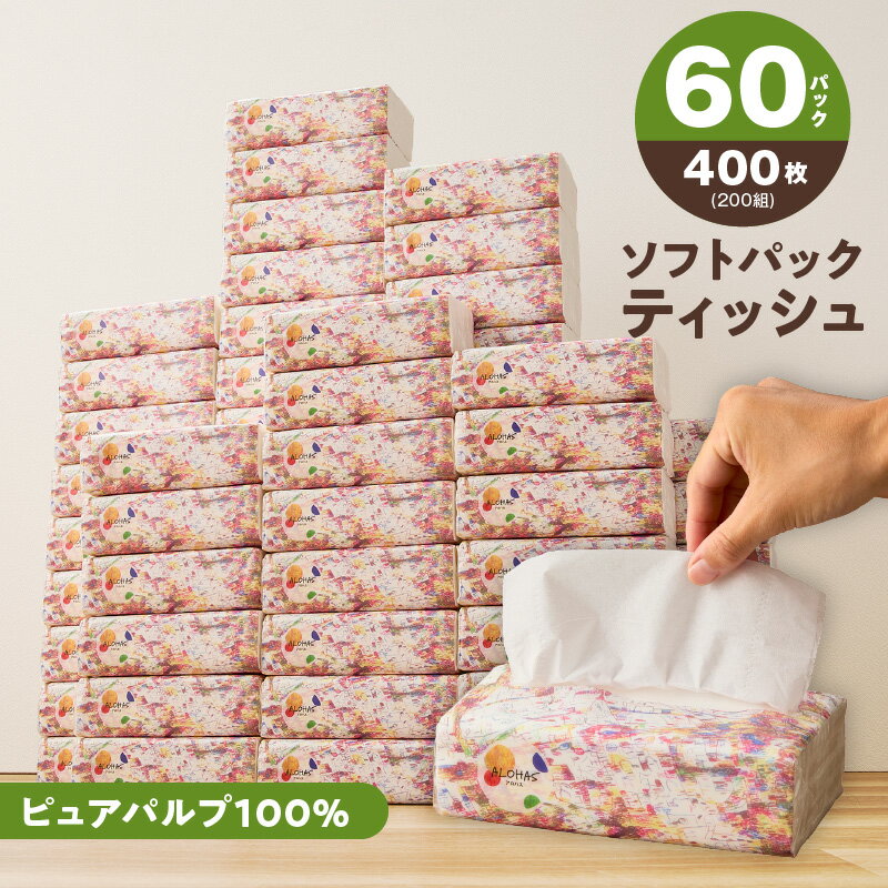 【ふるさと納税】【発送月が選べる】 ソフトパックティッシュ 60パック×400枚 200組 ピュアパルプ ALOHAS まとめ買い 柔らか パッケージ 持ち運び 日用品 紙 常備品 ティッシュ 防災グッズ ランキング急上昇 高評価 オリジナル 大阪府 泉佐野市 送料無料 圧倒的企業努力