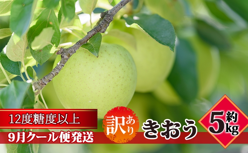 
                  【9月クール便発送】（糖度12度以上）訳あり品 家庭用 きおう約5kg【 青森りんご】
                