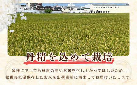 【数量限定】令和7年産 新米 あきたこまち 10kg