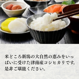 【6ヶ月定期便】魚沼産コシヒカリ 特別栽培 雪美人 10kg（5kg×2袋）| 津南町 魚沼 令和8年