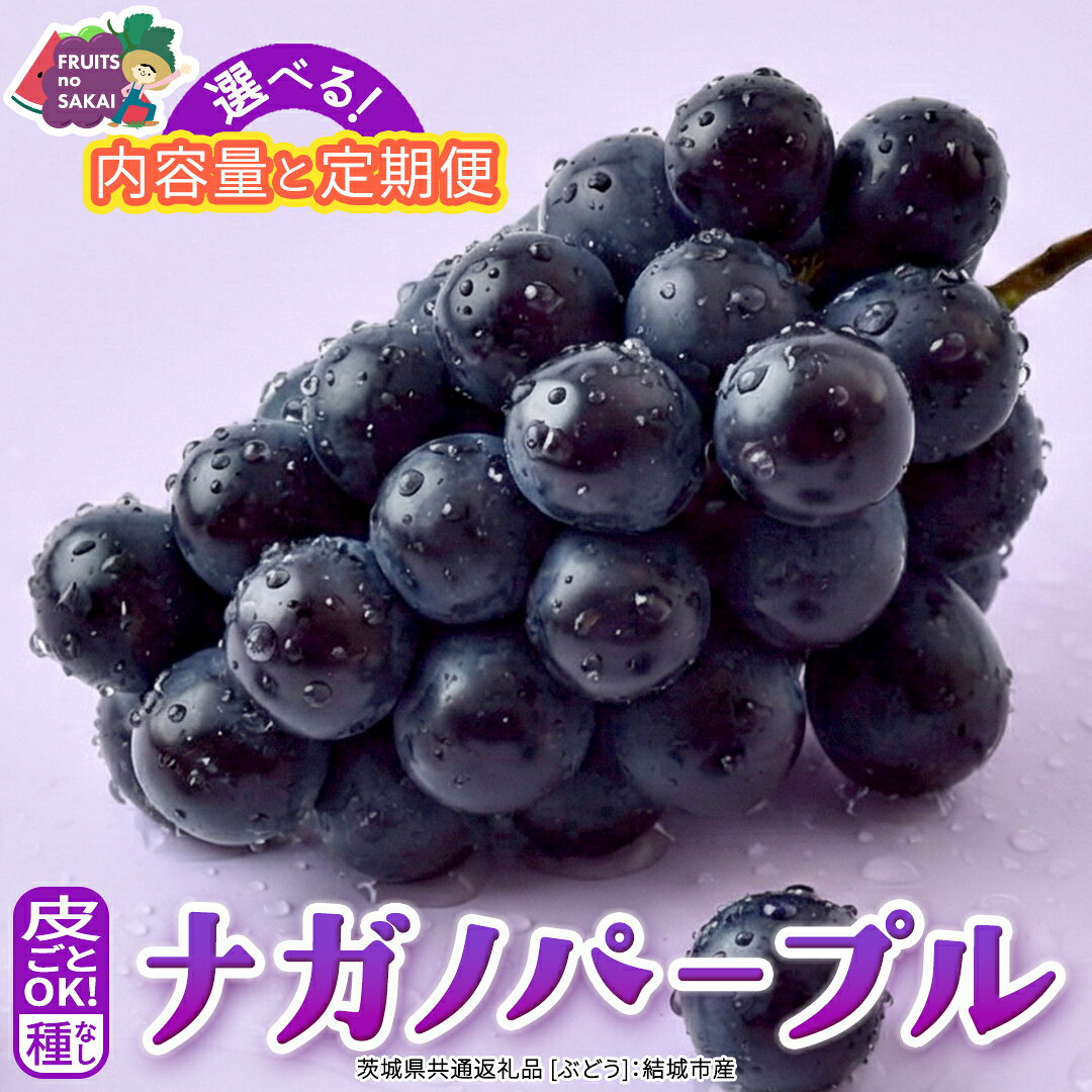 【ふるさと納税】＼選べる内容量・定期便／ ナガノパープル 約1.3kg ～ 5kg (約2房～12房)　単品（1回）・定期便(3か月連続)【2026年8月より発送開始】(茨城県共通返礼品 [ぶどう]：結城市産) ぶどう 葡萄 種なし 皮ごと 高級 国産 黒ぶどう 旬 お取り寄せ フルーツ 希少品種