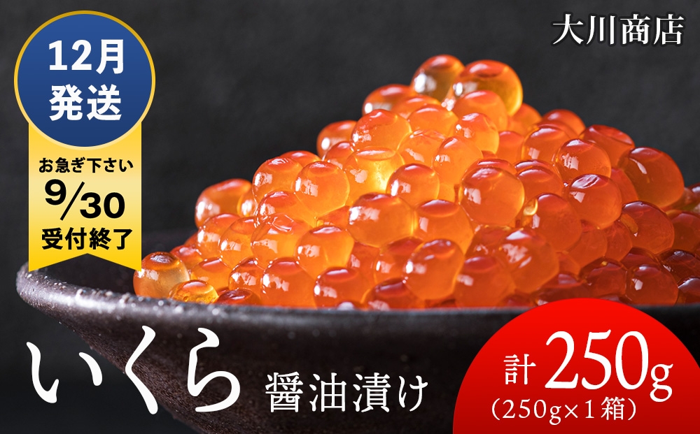 
                  ≪12月発送≫いくら醤油漬け250g1箱＜大川商店＞
                