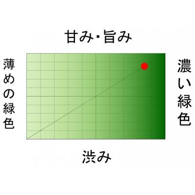 ふるさと納税 島田市 先行受付2025新茶　静岡県大井川流域産　一番摘み　深蒸し新茶100g(あららぎ袋入)×2本 |  | 03