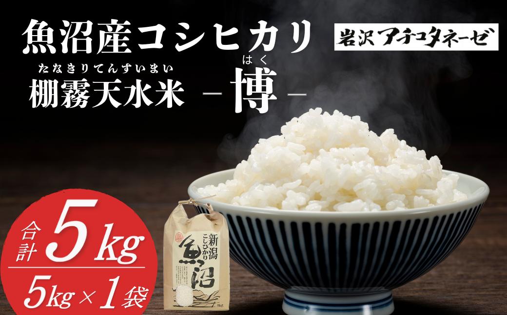 
                  【令和7年産米 コシヒカリ】 魚沼産コシヒカリ 精米5kg(5kg×1袋)  岩沢アチコタネーゼ | 新潟県産 コシヒカリ お米 米 おこめ こめ コメ 精米 白米 魚沼産 ブランド米【0008-0002-01】
                