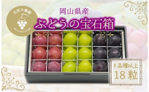 
            岡山　花笑み農園『ブドウの宝石箱』3種以上(18粒入り)　3M-宝18＜9月中旬～発送＞【1629379】
          