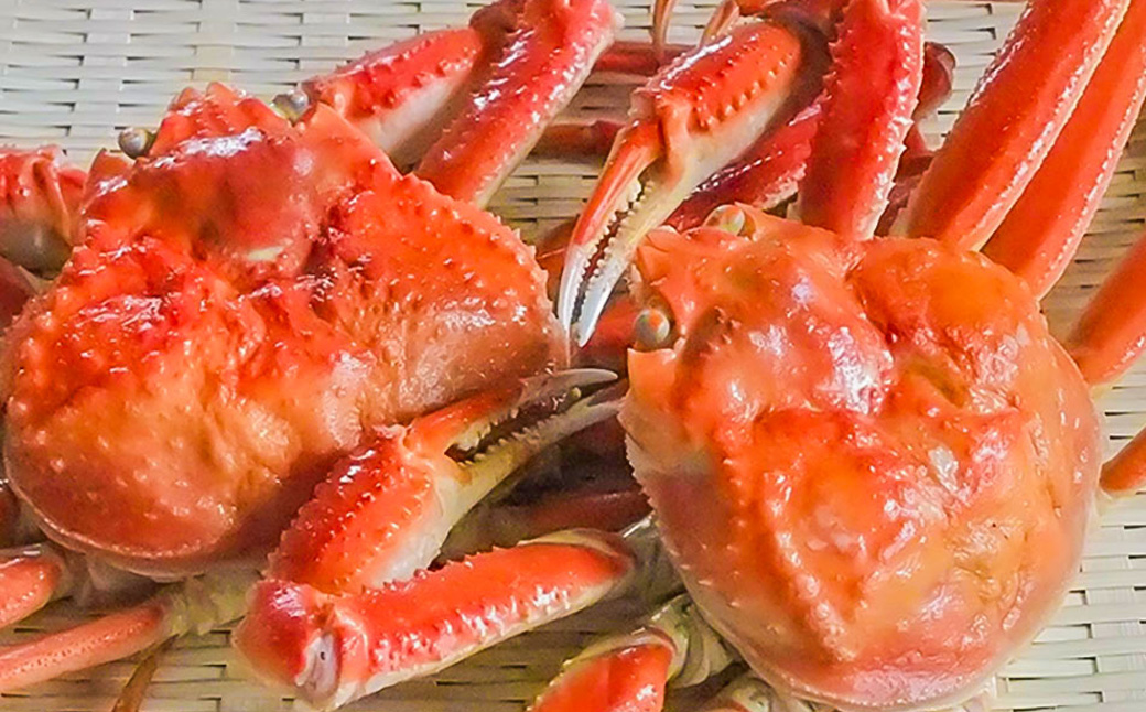 ボイルずわいかに姿 600～700g×2尾 ふるさと納税 かに 蟹