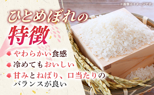 新米 先行受付 令和8年産 『こしひかり』『ひとめぼれ』 10kg (各5kg×1袋ずつ) 米 お米 白米 コメ こめ 食べ比べセット コシヒカリ ひとめぼれ 先行予約 2026年 人気 家計応援 単