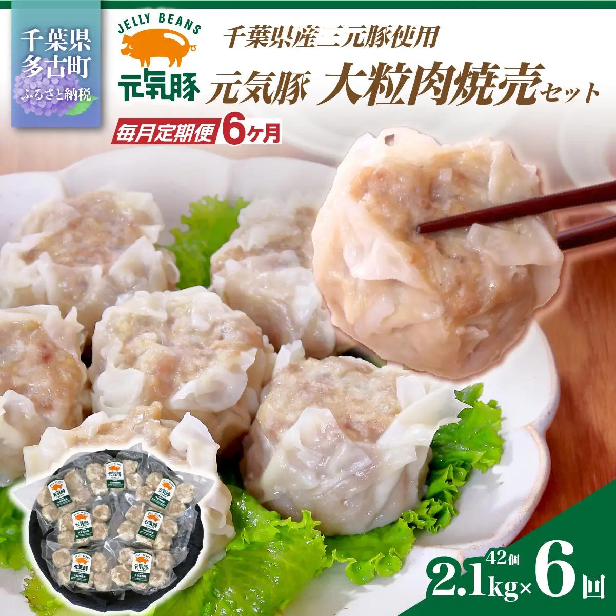 【毎月定期便】元気豚 大粒肉焼売セット 42個セット(計2.1kg)全6回_惣菜・加工品 シュウマイ    定期便 定期便  _【配送不可地域：離島・沖縄県】 TAKB064