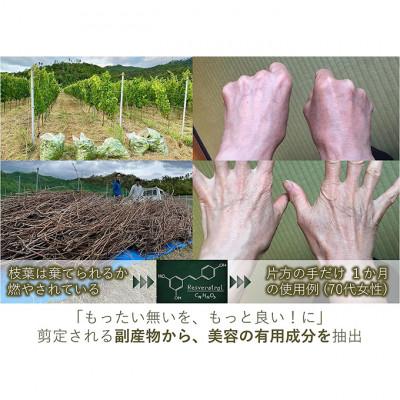 ふるさと納税 上田市 美容乳液50ml 2本セット オーガニック認証エイジングケア高濃度 約4か月分 [54040501] |  | 03