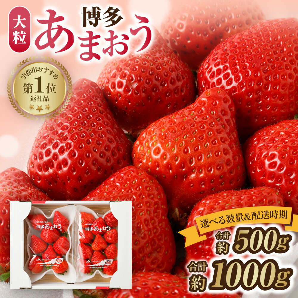 【ふるさと納税】【先行予約】＜選べる数量＆配送時期＞アフター保証 大粒セレクト！大人気のあまおう 250g × 2 or 4パック【1月〜3月お届け】【JAほたるの里】大粒の「博多あまおう」 フルーツ 果物 いちご 苺 福岡県 宗像市 送料無料