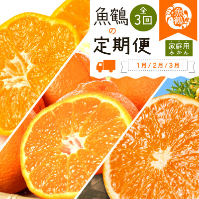 【発送月固定定期便】紀州和歌山産旬のご家庭用柑橘セット(みかん・不知火・清見)全3回【配送不可地域：離島】【4001339】