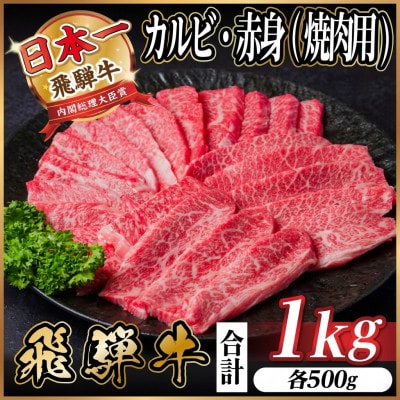 飛騨牛 厳選カルビ・赤身(焼肉・BBQ用) 1kg(各500g)　黒毛和牛　小分け　A4〜A5等級【配送不可地域：離島】【1543764】
