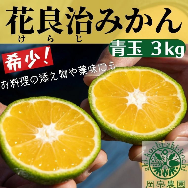 【ふるさと納税】【先行予約】【令和7年産】 みかん 青玉 3kg ミカン フルーツ 果物 期間限定 季節限定 旬 柑橘 家庭用 自宅用 ギフト プレゼント 贈答 贈答用 花良治みかん けらじみかん オレンジ デザート スイーツ アレンジ ケーキ メリーガーデン 高知県産 高知県安芸市