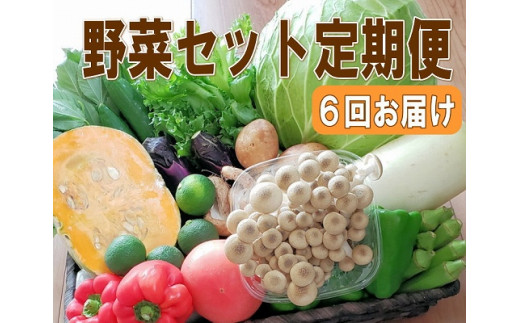 
【定期便 / 全6回：奇数月お届け】旬の新鮮野菜セットB（たっぷり15品以上）
