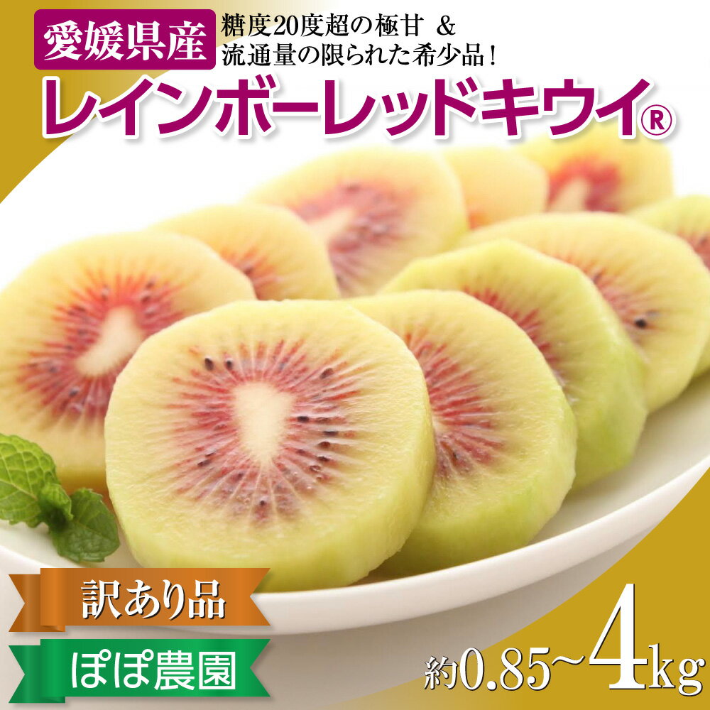 【ふるさと納税】【ぽぽ農園】【訳あり・ご自宅用】レインボーレッドキウイ（四国中央市産レインボーレッド） 選べる 容量 サイズ