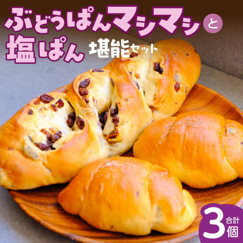 【ふるさと納税】ぶどうぱん 専門店 ぶどぱん 堪能 セット ぶどうぱん 1個 370g前後 塩ぱん × 2個 1個あたり70g前後 レーズン マシマシ しっとり もっちり 食パン生地 トースト 冷凍保存 朝食 昼食 ランチ お取り寄せ 福岡県 久留米市 送料無料