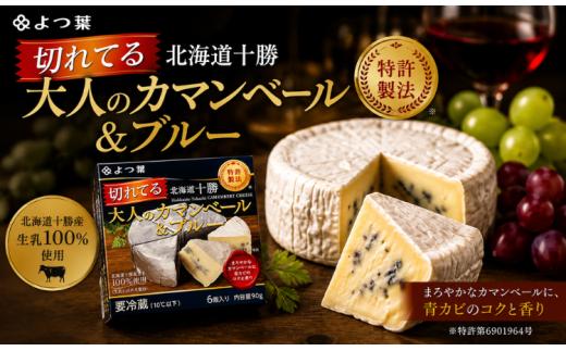 北海道十勝産 よつ葉切れてる大人のカマンベール＆ブルー6個 【 ふるさと納税 人気 おすすめ ランキング よつ葉 カマンベール カマンベールチーズ 切れてる 加工食品 乳製品 チーズ 贈答 プレゼント 贈り物 ギフト セット 北海道産 十勝産 北海道 鹿追町 送料無料 】 SKA034