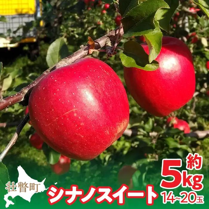 【先行予約】北海道壮瞥町産りんご「シナノスイート」約5kg(12～18玉)＜2026年10月下旬よりお届け＞ SBTF012