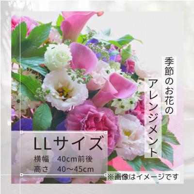 ふるさと納税 筑西市 季節のお花のアレンジメントLLサイズ〜花瓶不要!届いてそのまま飾れるフラワーアレンジ