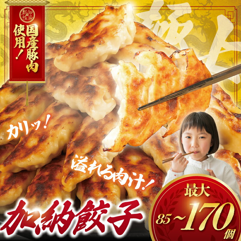 【ふるさと納税】 ぎょうざ 餃子 85個 ~ 170個 肉汁 旨い パック 豚肉 ぶた 野菜 焼き餃子 水餃子 国産豚 豚肉 野菜 ギョーザ gyouza 冷凍餃子 冷凍ぎょうざ ぶたにく 生餃子 冷凍 ご飯 おかず おつまみ 簡単調理 簡易包装 冷凍 冷凍食品 中華 加納食堂 神奈川 湘南 藤沢