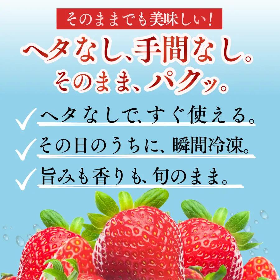【順次配送】 冷凍いちご  紅ほっぺ 1kg　【 いちご 】