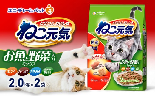 
                  【9月末掲載終了】 ねこ元気 お魚と野菜入りミックス まぐろ・かつお・白身魚・緑黄色野菜入り 2.0kg×2袋
                