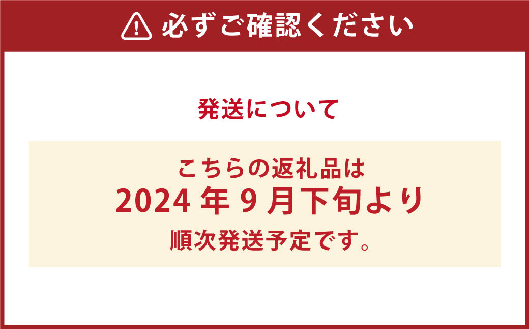 洗わずそのまま 発芽酵素玄米 炊飯セット 3合(450g)