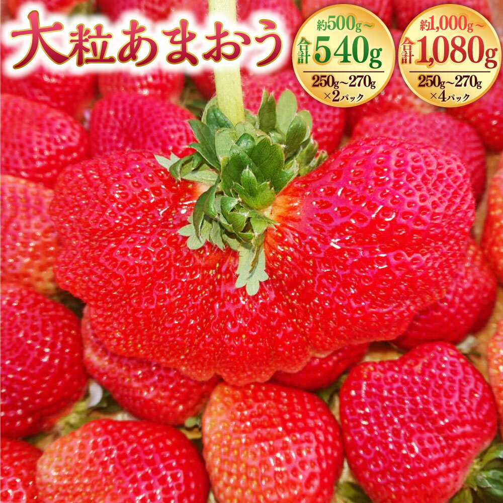 【ふるさと納税】＜選べる容量＞ 大粒あまおう 約250-270g 2パック 4パック 合計約500-540g 約1,000-1,080g あまおう いちご イチゴ 苺 大粒 ストロベリー ベリー フルーツ 果物 旬 冷蔵 福岡県 岡垣町 送料無料 【2026年2月上旬～4月上旬発送予定】