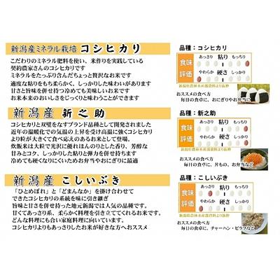 ふるさと納税 阿賀野市 【令和7年産】新潟人気米セット計6kg(コシヒカリ・新之助・こしいぶき各2kg) |  | 01