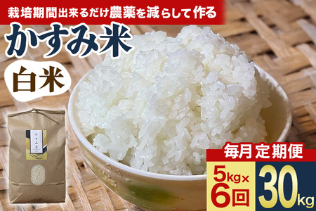 【毎月定期便】心と身体が踊りだす栽培期間中出来るだけ農薬を減らして作る「かすみ米」白米 5kg 全6回 お米 米 国産米 茨城県 潮来市 (017-0117)