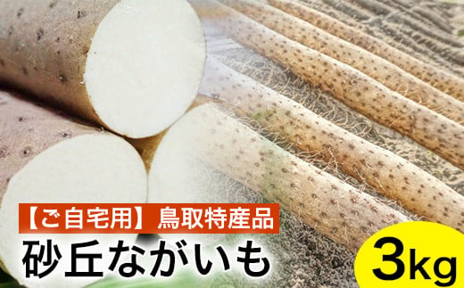 
753．【ご自宅用】鳥取特産品　砂丘ながいも（カット）3kg
※北海道・沖縄・離島への配送不可
※2024年11月中旬～2025年3月下旬頃に順次発送予定
