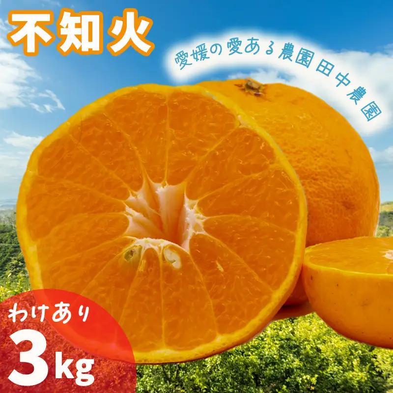 【2027年2月下旬頃から順次発送】みかん 訳あり 不知火 しらぬい 約3kg 愛媛県産【TNN014】