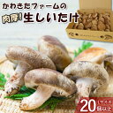 【ふるさと納税】かわきたファーム 肉厚 しいたけ 椎茸 シイタケ しいたけ栽培 生しいたけ 千葉 八街