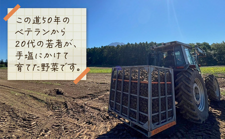 【ふるなびWEEK対象】【 訳アリ 】 馬鈴薯 約 10kg 男爵 リストファーム サイズ 混合 馬鈴薯 芋 ポテト イモ 産地直送 野菜 FN-Limited