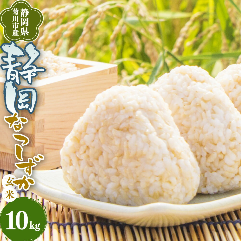 【ふるさと納税】先行予約 【令和8年産】菊川市産 なつしずか 玄米 10kg 米 お米 単一原料米 10キロ 静岡県産 国産 静岡県 菊川市 送料無料 【2026年8月下旬～2027年3月下旬発送予定】