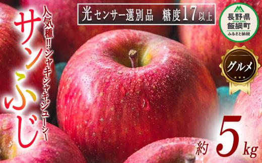 りんご サンふじ グルメ ( 贈答用 ) 5kg 最高級 糖度17度以上 光センサー選別品 ながの農業協同組合 2025年12月上旬頃から2025年12月下旬頃まで順次発送予定 令和7年度収穫分 信州 果物 フルーツ リンゴ 林檎 高級 特選 特秀 糖度保証 数量限定 長野 25000円 予約 長野県 飯綱町 [0337]