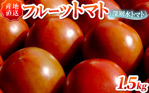 フルーツトマト(深層水トマト)1.5キロ【濃厚な甘みと旨み】【配送不可地域：離島】