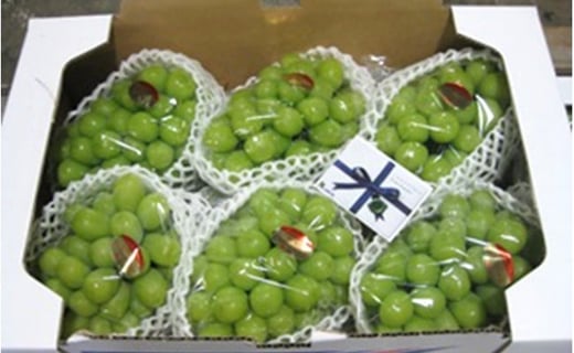 
            [№5911-0093][No.5911-0093【ご家庭用】極上シャインマスカット　どっさり約5kg 果物 ぶどう フルーツ 葡萄 種なし 
          