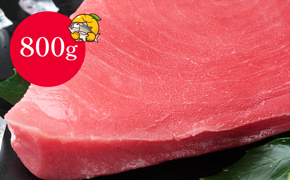 本マグロ まぐろお刺身用 赤身5人前(800g) 鮪 海鮮丼 刺し身 刺身 盛り合わせ 冷凍 魚の刺身 大分県産 九州産 津久見市 熨斗対応【tsu000301】