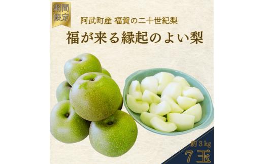 【ふるさと納税】【先行予約】福賀の二十世紀梨 約3kg（7玉） 阿武町産 高糖度＆安心栽培 昼夜の寒暖差が生むシャキシャキ食感 数量限定 なし 梨 ナシ フルーツ 果物 旬 《お届け：2025年8月下旬～9月15日頃出荷》 山口県 阿武町産 デザート