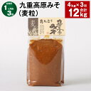 【ふるさと納税】【定期便】【1ヶ月毎3回】九重高原みそ（麦粒） 1kg×4袋 計12kg（4kg×3回） 麦みそ 味噌 赤色系甘口 大麦 大豆 おかず味噌 調味料 大分県産 九州 国産 大分県 九重町 送料無料