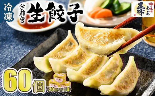 
            餃子20個入り×3箱（60個） | ふるさと納税 餃子 冷凍 ギョウザ 冷凍食品 惣菜 お取り寄せ グルメ 送料無料 宇都宮 栃木県
          