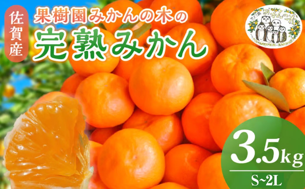 
                  L9x1 果樹園みかんの木の完熟みかん 3.5kg みかん ミカン 蜜柑 温州みかん 完熟みかん 甘熟 国産 佐賀県産 太良町 こだわり 産地直送 詰め合わせ 【2026年11月上旬-2027年1月下旬発送予定】
                