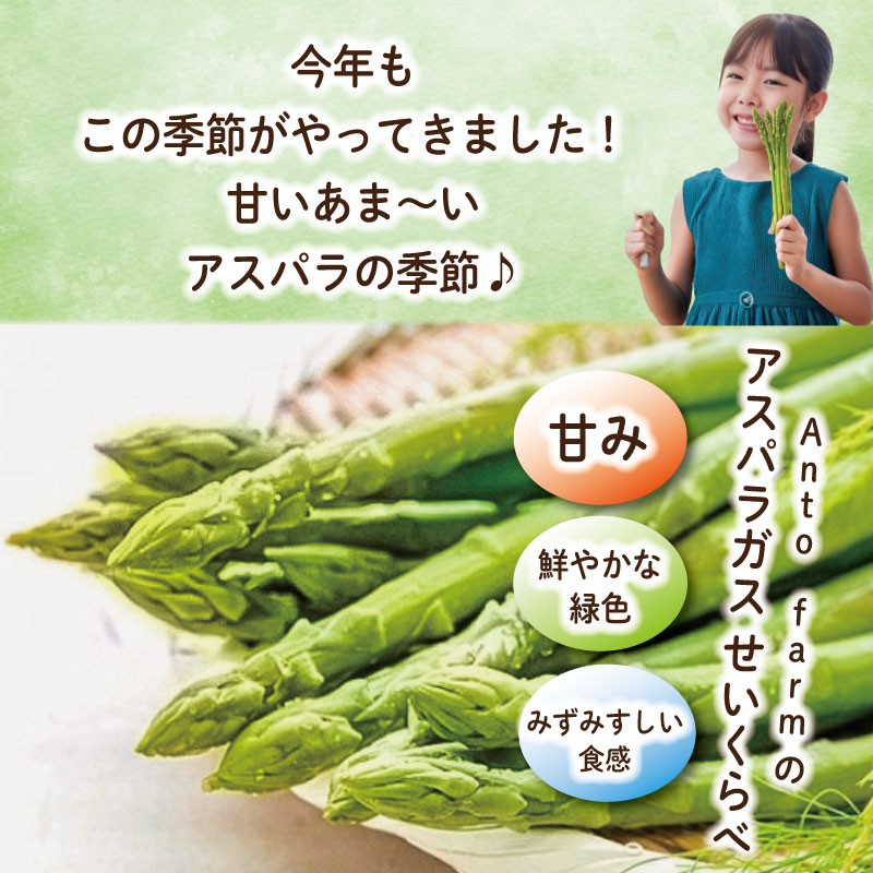 アスパラガス Mサイズ 3kg 《3月から出荷開始！》 アスパラ 朝採れ 弁当 野菜 グリーンアスパラ サラダ ベーコン 豚肉 巻き 甘い 国産 春野菜 新鮮 せいくらべ 徳島 阿南