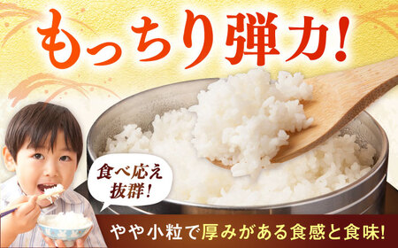 【先行予約】佐賀県産米（ひのひかり）5kg 玄米 / 玄米 玄米 玄米 玄米 玄米 玄米 玄米 / 佐賀県 / 一般社団法人 龍乃 [41ANAC104]