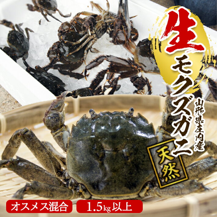 【ふるさと納税】春の生・天然モクズガニ 1.5kg以上 8～15匹 オス・メス混合 山形県庄内産 2026年2月下旬～4月下旬頃順次発送 冷蔵便 ※着日指定・離島（沖縄県を含む）発送不可 カニ 蟹 かに 川ガニ 新鮮 鮮魚 まるごと 姿 カニみそ 味噌汁 蒸し蟹 期間限定 お取り寄せ
