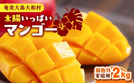 
                  【訳あり】 ＼期間限定8/22まで／ マンゴー 数量限定 太陽いっぱいマンゴー 規格外 家庭用 2㎏ トロピカルフルーツ 完熟 くだもの フルーツ 南の島 夏 鹿児島県 奄美大島 大和村 宮田果樹園 (A101)

                