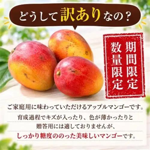 【2027年6月下旬から順次発送・訳あり】完熟アップルマンゴー約1.5kg(3玉～6玉)【配送不可地域：離島】【1546407】